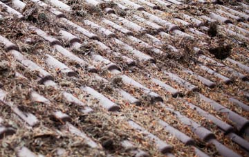 Harold Wood roof cleaning companies